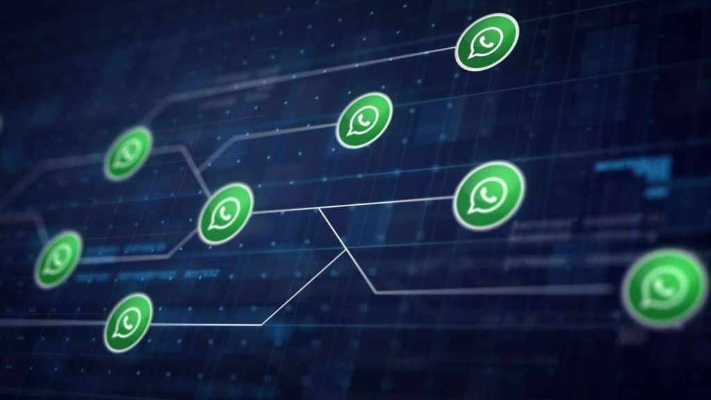 whatsapp crm como utilizar - Socialhub - Para todos os Negócios