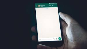 WhatsApp chat - Socialhub - Para todos os Negócios